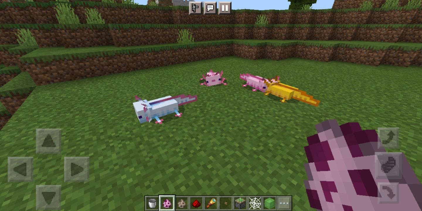 ҵminecraftʰ1.17»